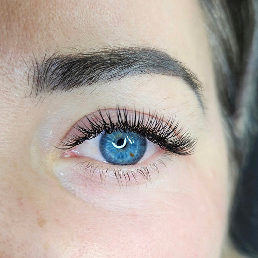 Classic Lash Training