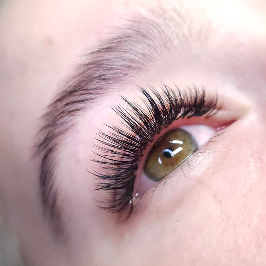 Fast Track Lash Training